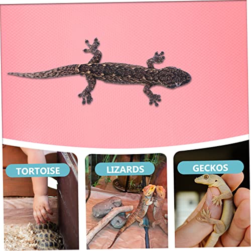 Reptile Carpet Substrate Pad for Bearded Dragon Tank Lightweight Portable Terrarium Accessory Easy to Clean Reptile Mat for Leopard Gecko Lizard Snake Turtle