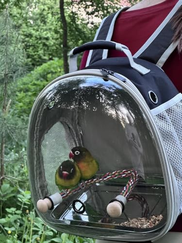 Small Bird Travel Backpack Carrier Cage, Backpack to Transport Backpack Carrier with Metal Tray Stand Perch for Parakeet Cockatiel Budgies Vet Carry Book Bag - color: Green