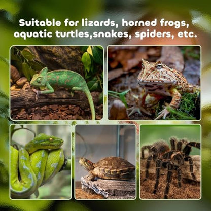 Glass Terrarium Reptile Terrarium Breeding Tank Vivarium Habitat with Leakproof Base