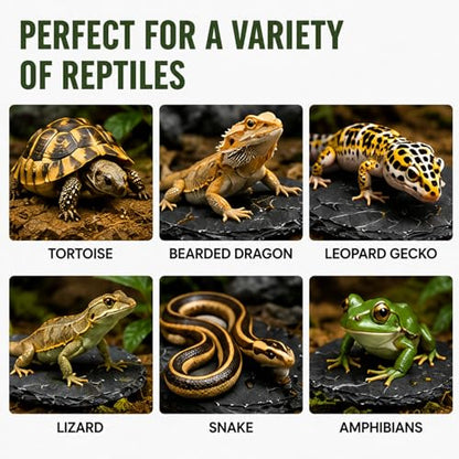 Natural Slate Reptile Basking Platform Feeding Stone for Tortoise Gecko Terrarium Decor(Rectangular Plate) - size: RECTANGULAR PLATE