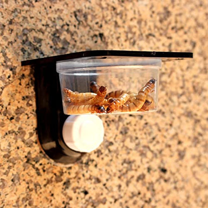 Scicalife Reptile Food Water Bowls with Suction Cups 4-Pack Durable Terrarium Feeding Ledges for Geckos Lizards Fits Glass Acrylic Tanks Space-Saving Easy to Clean
