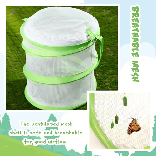 Sherr 2 Pcs Mini Butterfly Habitat Cage Clear Mesh Butterfly Net Cage Container Foldable Terrarium, 6.2x7.1inch (Green) - color: Green