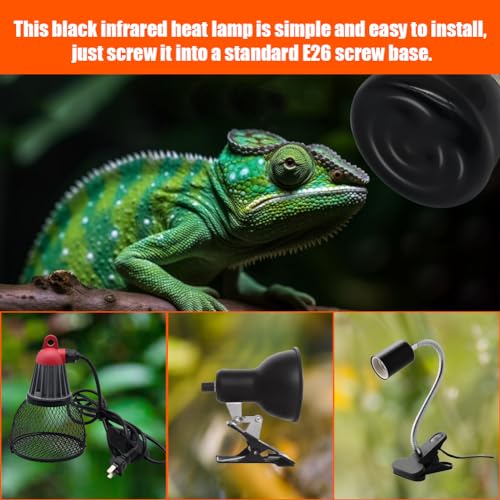 Mini Reptile Heat Lamp Bulb Ceramic Infrared Heat Emitter（4 Pack） E26/E27 Base, AC110V, for Pet Amphibian Snake, Turtle, Lizard, Chicken, Brooder Coop, No Light (100, Watts)