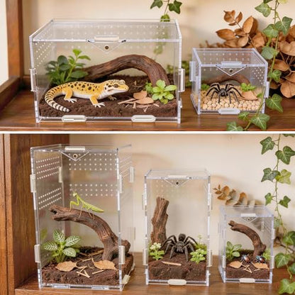Portable Travel Jumping Spider Enclosure, Acrylic Terrarium for Spider, Magnetic Lock Spider Habitat & Small Terrarium Ventilated for Tarantula,Mantis,Frog,Insect Enclosure cage (5.9×5.9×9.8 Inch) - size: 5.9×5.9×9.8 Inch