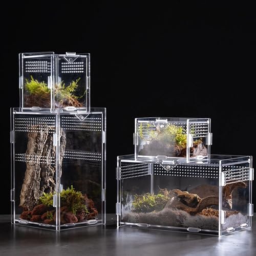 Clear Acrylic Reptiles Tanks with Ventilation Holes Terrarium Box for Small Lizards and Snake Jumping Spiders Watching Reptiles Container Box - size: 8X7X10 horizontal