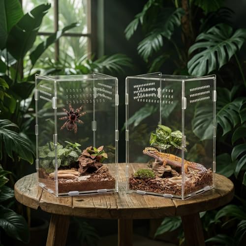 Hushee 2 Pcs Acrylic Jumping Spider Enclosure, 360° Clear Ventilated Reptile Terrarium View, Easy Assembly Secure Pet Habitat, Perfect for Mantis, Frog, Tarantula, Gecko and Small Reptiles