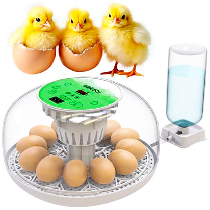 Okkobi M12 Egg Incubator with Automatic Turner and Humidity Control - 12/24 Eggs, 360° View, Easy to Use and Clean - Incubadora de Huevos de Gallina - Made for US - White & Green - color: Green