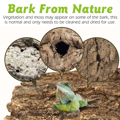 Reptile Cork Bark Bulk 1 Lb Reptile Bark Bedding Natural Flat Cork Wood Pieces Terrarium Substrate Tank Supplies for Bearded Dragon Snake Spiders Hermit Crabs Geckos Tortoise