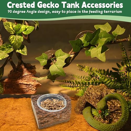 PINVNBY Gecko Feeder Bowl Resin Rock Reptile Water Dish with Feeding Cups Gecko Reptile Terrarium Tank Accessories for Bearded Dragons Leopard Lizard Snake Chameleon