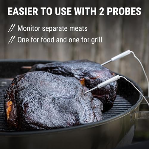 TempPro Wireless Meat Thermometer Digital for Grilling and Smoking, 2 Probes Bluetooth Meat Thermometer for Cooking Turkey Fish Beef, Rechargeable Smoker Accessories for BBQ Oven Gift for Dad - style: 2 Probes