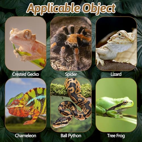 BNOSDM Reptile 16oz Cork Bark Substrate and Small Basking Rock Platform for Lizard, Gecko