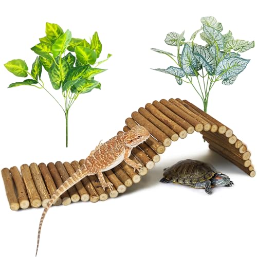 BNOSDM Reptile Hide Tortoise Hideout Bearded Dragon Wooden Bridge Snake Climbing Tunnel Habitat Decor for Lizards Spiders Gecko Ball Python (19.7x5.9 in) - color: Small-19.7x5.9in