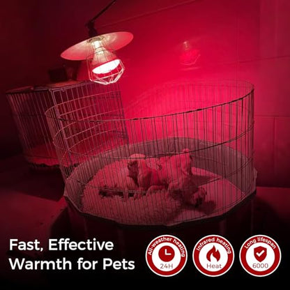 Infrared Heat Lamp for Chickens, 250 Watts Red Heat Lamp Bulb, Heat Light Bulb for Brooder Coop, Food Service, Chicks, Pet, Reptile, 2 Pack - size: 2 Count (Pack of 1)