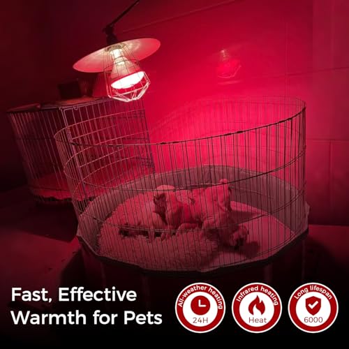 Infrared Heat Lamp for Chickens, 250 Watts Red Heat Lamp Bulb, Heat Light Bulb for Brooder Coop, Food Service, Chicks, Pet, Reptile, 2 Pack - size: 2 Count (Pack of 1)