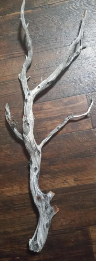 2 Pieces Natural Manzanita Ghostwood Branches - 18-20 Inches - Assorted Decorative Driftwood for Aquarium, Terrarium, and Home Decor