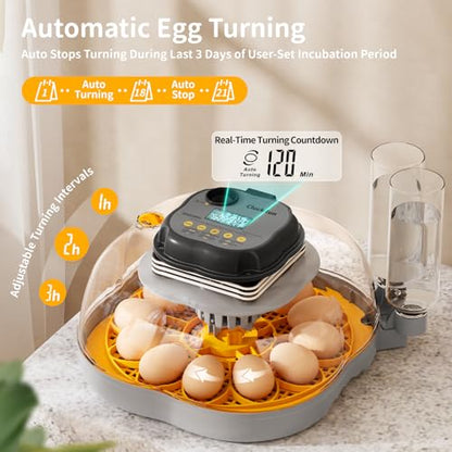 Chicken & Quail Egg Incubator, 12 Egg Incubators for Hatching Eggs, Two Egg Trays, Automatic Egg Turning with Auto Stop, Incubation Day & Period, Auto Refill, Egg Candler, Air Vent, 360° Clear View - size: 12 Eggs + 30 Quail Eggs