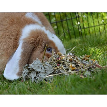 Rosewood Naturals: Summer Harvest - 4 Pack, 5.2oz Bags - Small Animal Treat, Dried Flower-Fruit-Vegetable-Herb Mix, All Natural, Pet-Rabbit-Guinea Pig