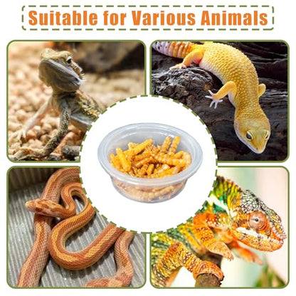 Tfwadmx 0.5oz 500pcs Gecko Feeding Cups, Reptile Food Dish and Water Cups Reptile Feeding Bowls Gecko Tank Accessories for Lizards Snake Crabs - size: 0.5oz 500pcs