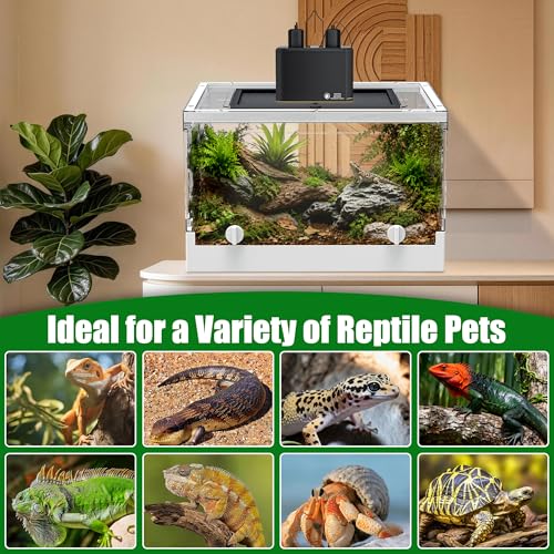 Folding Reptile Terrarium 17" × 12" × 10" – Portable Clear Habitat Tank with Front Opening Door & Ventilation, Easy Assembly for Geckos, Lizards, Snakes, Turtles, Spiders & Amphibians - size: 17" × 12" × 10"