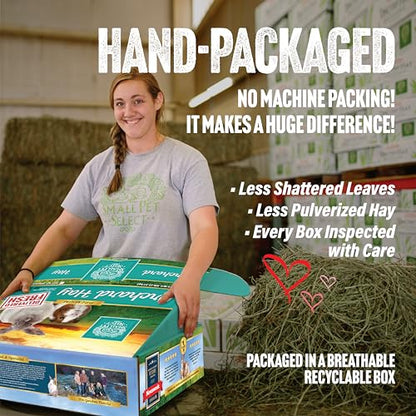 Small Pet Select Orchard Grass Hay Pet Food, 20 Lb. - size: 20 Pound (Pack of 1)