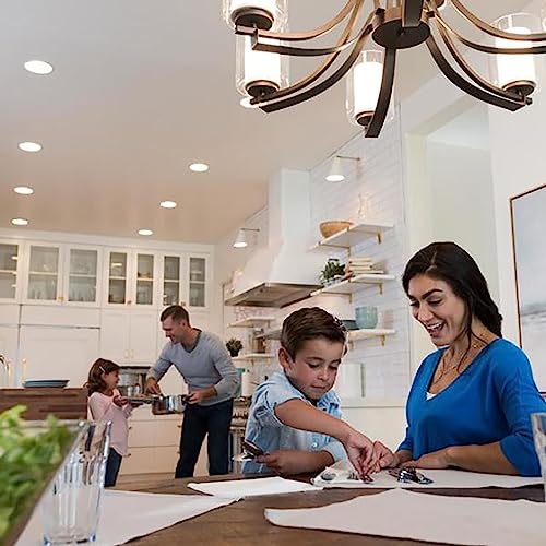 Lutron Skylark LED+ Dimmer Switch for Dimmable LED, Lutron Dimmer Switch For Halogen and Incandescent Bulbs, 150W/Single-Pole or 3-Way, SCL-153P-WH, White - color: White
