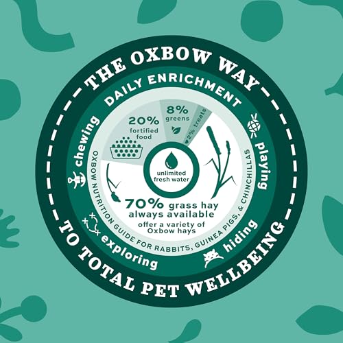 Oxbow Orchard Grass Hay for Small Pets – All-Natural Long Strand Fiber Hay for Rabbits,Guinea Pigs,Chinchillas,and Hamsters – Supports Digestive Health and Enrichment-– 40 oz Bag,(Pack of 2) - size: 40 Ounce (Pack of 2)