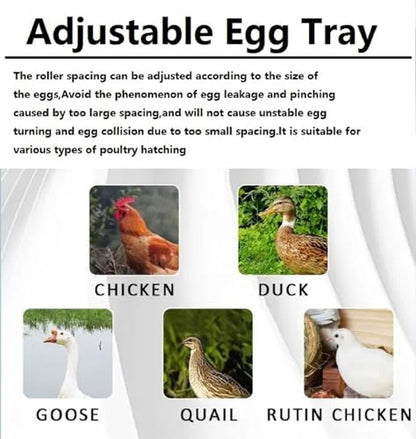 Egg Incubator with Automatic Egg Turning and Humidity Control, Efficient LED Lighting, Upgrade Automatic Water Adding, for Hatching Chickens Quail Duck Goose Turkey, 192 Eggs - color: 192 eggs