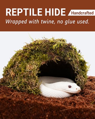 Reptile Hides and Caves – Leopard Gecko Tank Accessories, Natural Dome Reptile Cave & Shelter, Gecko Tank Accessories & Hermit Crab Shelter, Hamster Cage Accessories