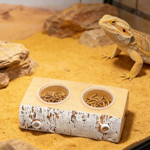 Crested Gecko Feeding Ledge,Magnetic Food Dish with 10 Feeding Cups | Terrarium Bowls Reptile Feeders,for Pets Crabs Turtle Spider Bearded Dragon Frogs Centipede Small Animal