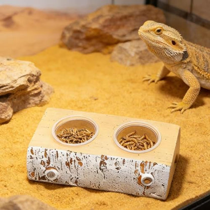 Crested Gecko Feeding Ledge,Magnetic Food Dish with 10 Feeding Cups | Terrarium Bowls Reptile Feeders,for Pets Crabs Turtle Spider Bearded Dragon Frogs Centipede Small Animal