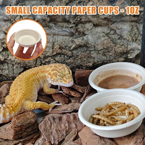Tfwadmx 200Pcs Paper Gecko Feeding Cups,Samll 1oz Crested Gecko Food Dish,Reptiles Food and Water Bowls Feeder Ledge Accessories Cups for Lizards,Spiders,Frogs - size: 200 pcs