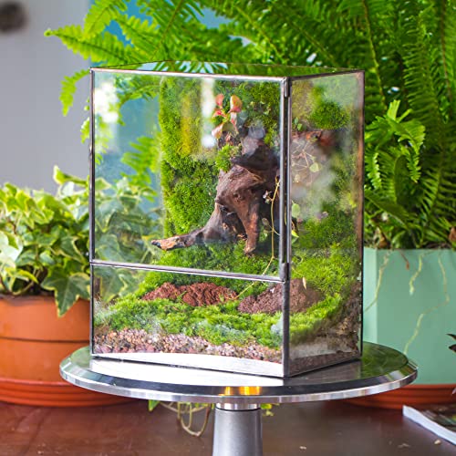 NCYP Close Glass Terrarium with Door - 7.8 x 5.1 x 9.8 Inches Geometric Landscape Clear Planter for Small Tropical Plants - Indoor Tabletop Centerpiece, Garden Decor (Terrarium Only) - size: 7.8x5.1x9.8 inches