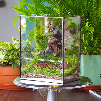 NCYP Close Glass Terrarium with Door - 7.8 x 5.1 x 9.8 Inches Geometric Landscape Clear Planter for Small Tropical Plants - Indoor Tabletop Centerpiece, Garden Decor (Terrarium Only) - size: 7.8x5.1x9.8 inches