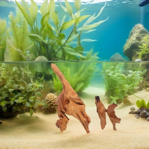 Natural Aquarium Driftwood 2pcs Mini Fish Tank Decoration 10-15cm 25-30cm Freshwater Wood for Reptile Terrarium Climbing Branch and Aquascaping