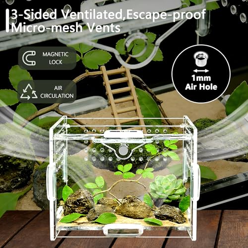 Small Acrylic Insect Terrarium – Mini Insect Enclosure for Jumping Spiders – Clear Acrylic Cage with 1mm Ventilation Holes, Easy Maintenance - size: Small Square Acrylic Terrarium