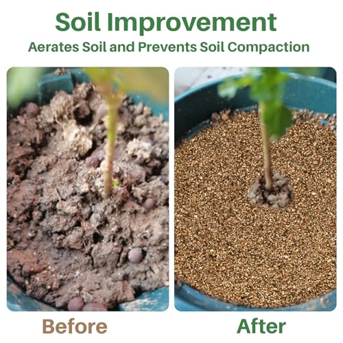 Sukh 14.6OZ Vermiculite - Organic Vermiculite for Gardening Plants Fine Horticultural Soil Amendments Bulk Additive Perfect Potted and Garden Professional Grade 3-6mm - size: 3-6MM