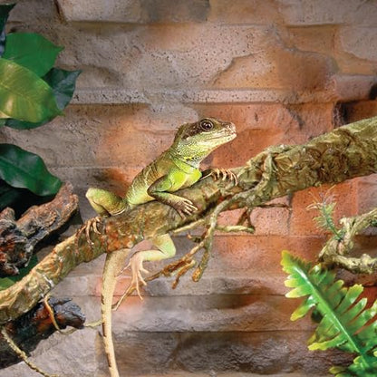 Penn-Plax Reptology Reptile Climber-Vine – Thick Green Vine Decoration for Terrariums – 5” Length (REP401) - size: 5' Green