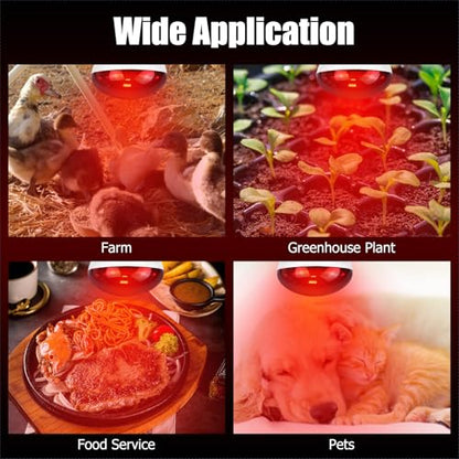 250W Infrared Heat Lamp for Chicken, Red Heat Light Bulb R125 2 Pack, Heat Lamp Bulb for Chick Croop, Reptiles, Pets, Food - size: 2 Piece