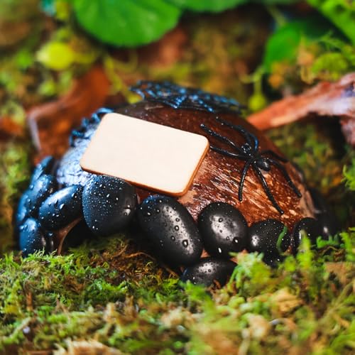 Reptile Hideouts, Handmade Handmade Reptile Home, Hide Cave for Crested Gecko, Leopard Gecko, Lizard, Snake, Crabs Hide Cave, Personalized Terrarium & Vivarium Décor（Spider） - style: Spider
