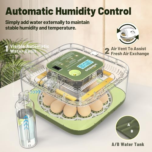 12 Egg Incubator with Automatic Egg Turning and Humidity Control, LED Egg Candling Light, Customized Incubation Days, Incubators for Hatching Eggs, Chicken Quail Parrot Pigeon Birds, Green - color: Green
