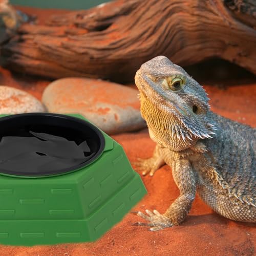 Reptile Feeder Bowl Worm Dish Anti-Escape Food Dish Bowl with 2PCS Feeding Box, Food Water Feeder for Crested Gecko Lizard Chameleon Pets, Reptile Terrarium Tank Accessories (M) - size: M