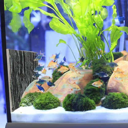 GALPADA 3D Fish Tank Background Board Vertical Texture, Turtle and Cichlid Aquarium Decor, Reptile and Terrarium Decorative Panel for Freshwater Tanks