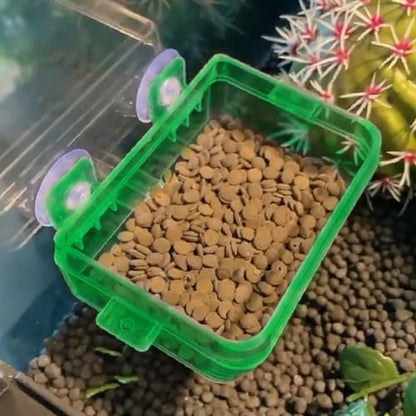 Reptile Feeder Chameleon Bowl 2 Pcs Anti-Escape Food Dish Bowl with Suction Cup for Chameleon Iguana Lizard Reptile Food and Water Feeding (Green, S)