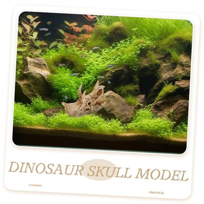 POPETPOP Resin Dinosaur Skull Aquarium Hideout for Shrimp and Reptiles Tank Decor for Freshwater and for Terrarium Landscapes and Boys and Girls Rooms
