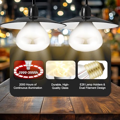 250W R40 White Heat Lamp Bulbs (4-Pack), Infrared Heat Bulbs, Infrared Therapy Bulbs for Bathroom, Sauna, Pets & Chickens, 2,000 Hour Rated, E26 Base - color: White