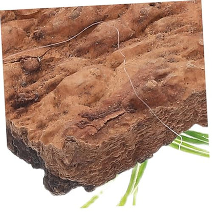 20pcs Natural Cork Bark for Reptile Tank Supplies Terrarium Background for Climbing and Hiding Authentic Tree Bark Decor for Aquarium and Lizard Habitat