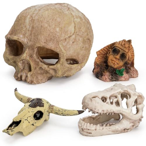 Lawei 4 Pieces Aquarium Resin Skull Ornaments, Desert Reptile Hideouts Decorations, Human Skeleton Dinosaur Cattle Skull for Fish Tanks Decorative, Small Decor Statue Cave Landscape Pet Reptile House
