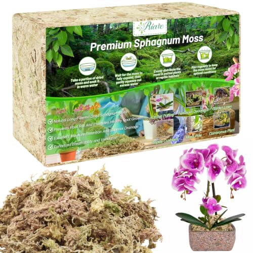 Riare 2.2 LB Premium Sphagnum Moss for Plants- 40QT Natural Long Fibered Sphagnum Peat Moss for Plants Indoor, Succulent Orchid Potting Mix for Orchids Carnivorous, Succulent and Reptiles - size: 40QT/2.2lbs