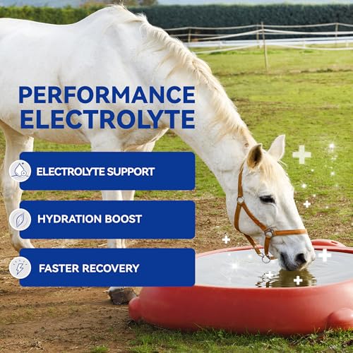 Horse Electrolytes Powder, Electrolyte for Horses with Sodium & Potassium, Equine Hydration Supplement 420g - size: Box