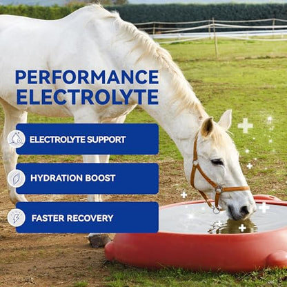 Horse Electrolytes Powder, Electrolyte for Horses with Sodium & Potassium, Equine Hydration Supplement 420g - size: Box
